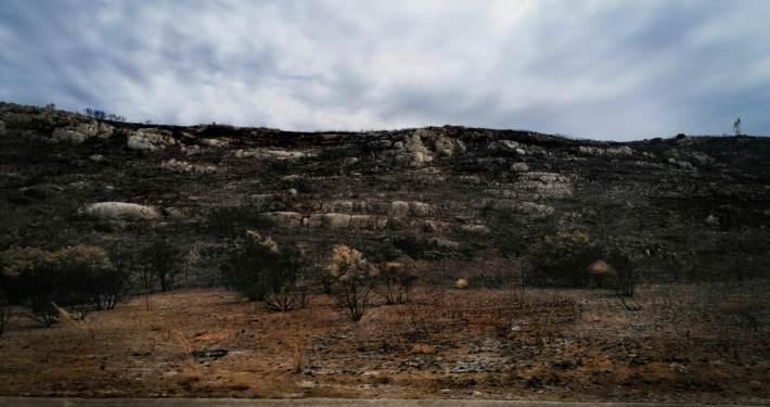 Vue-incendies-Marseille-été-2025-c–G.C. Vue sur le site de l'incendie à Marseille durant l'été 2025 © G.C.