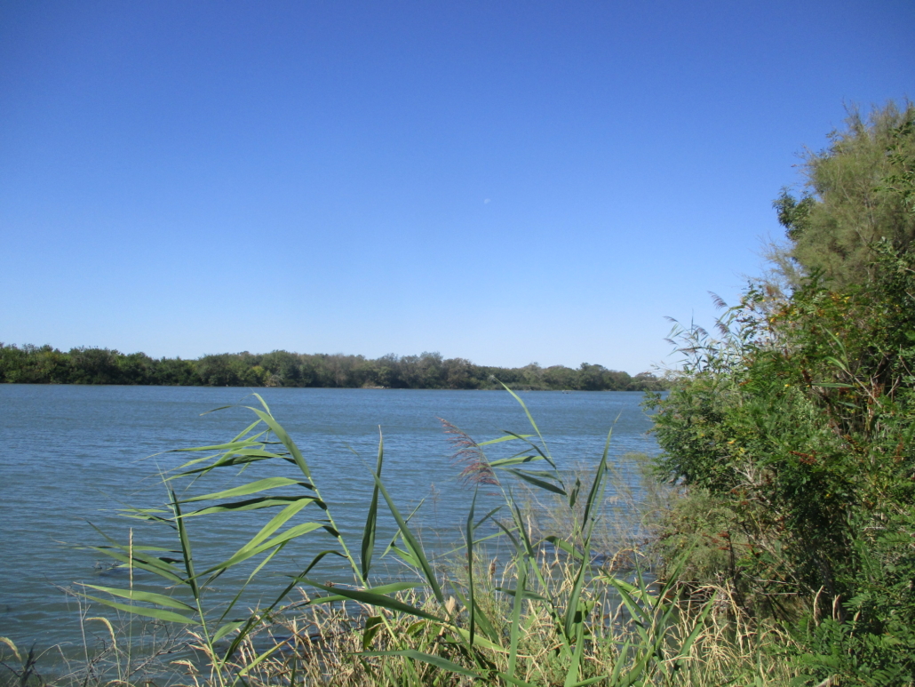 En Camargue © Jan-Cyril Salemi En Camargue © Jan-Cyril Salemi