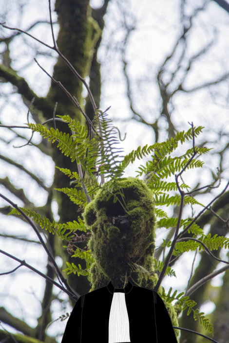 tree-branch-with-fern-leaf-CC0-public-domain-George-Hodan