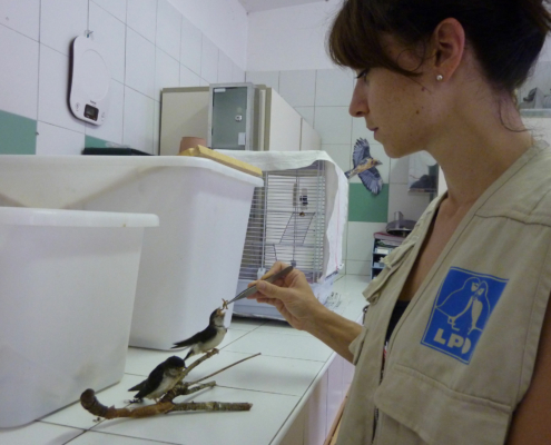 Nourrissage-©-Katy-Morell-CRSFS