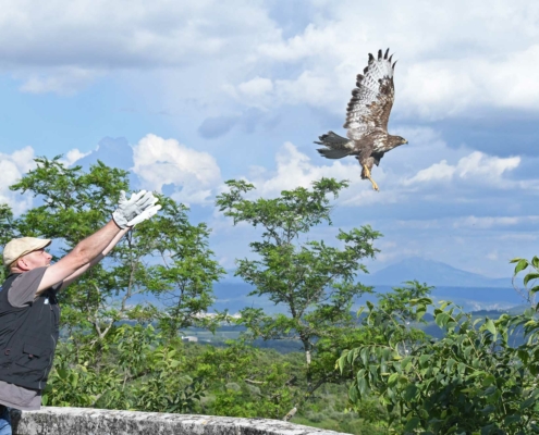 Relâcher-Buse-variable-©-crsfs--Grégory-Delaunay